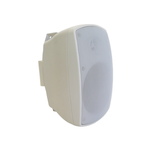 FLEX50W Wall Speaker 6.5