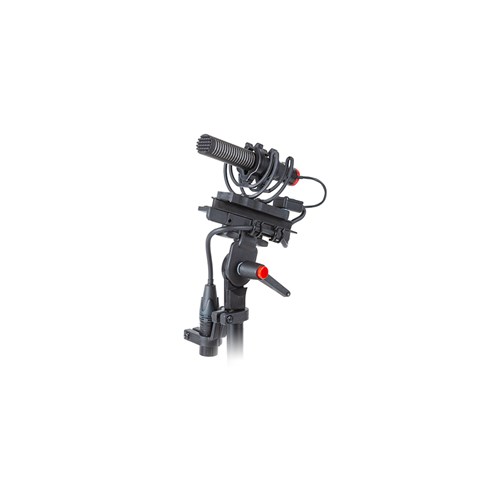 RR-RYC086010_2