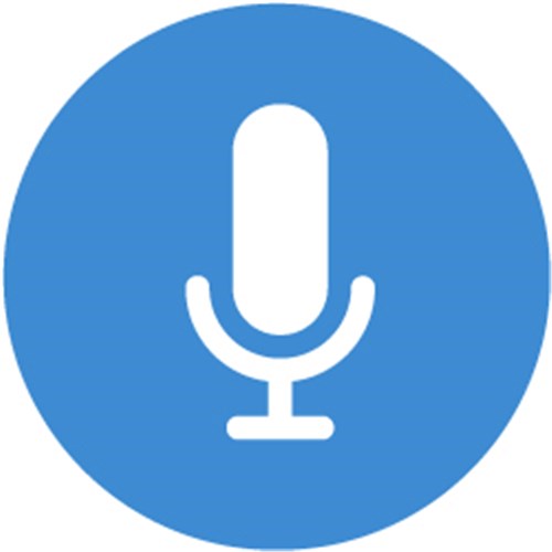 Voice