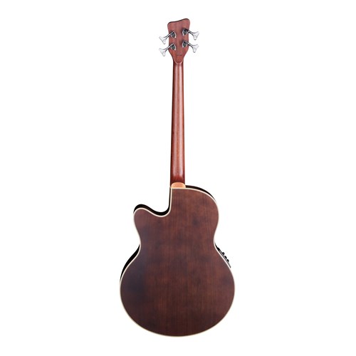 Warwick RockBass Alien Deluxe 4-String Fretless Natural High Polish