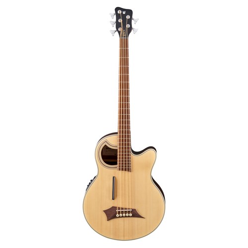 5 string semi acoustic bass