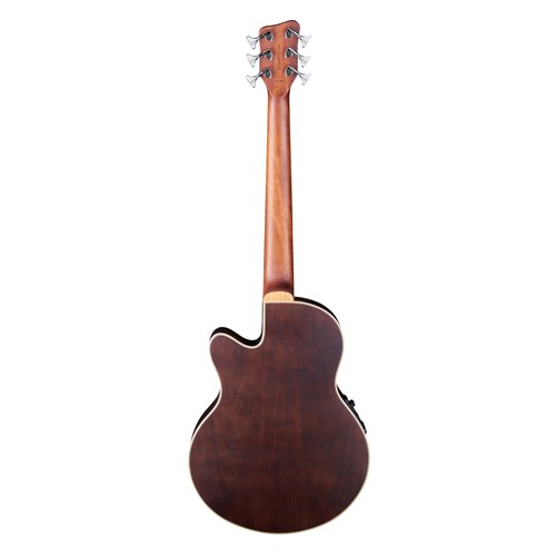 RockBass Alien Deluxe 6-String Natural High Polish