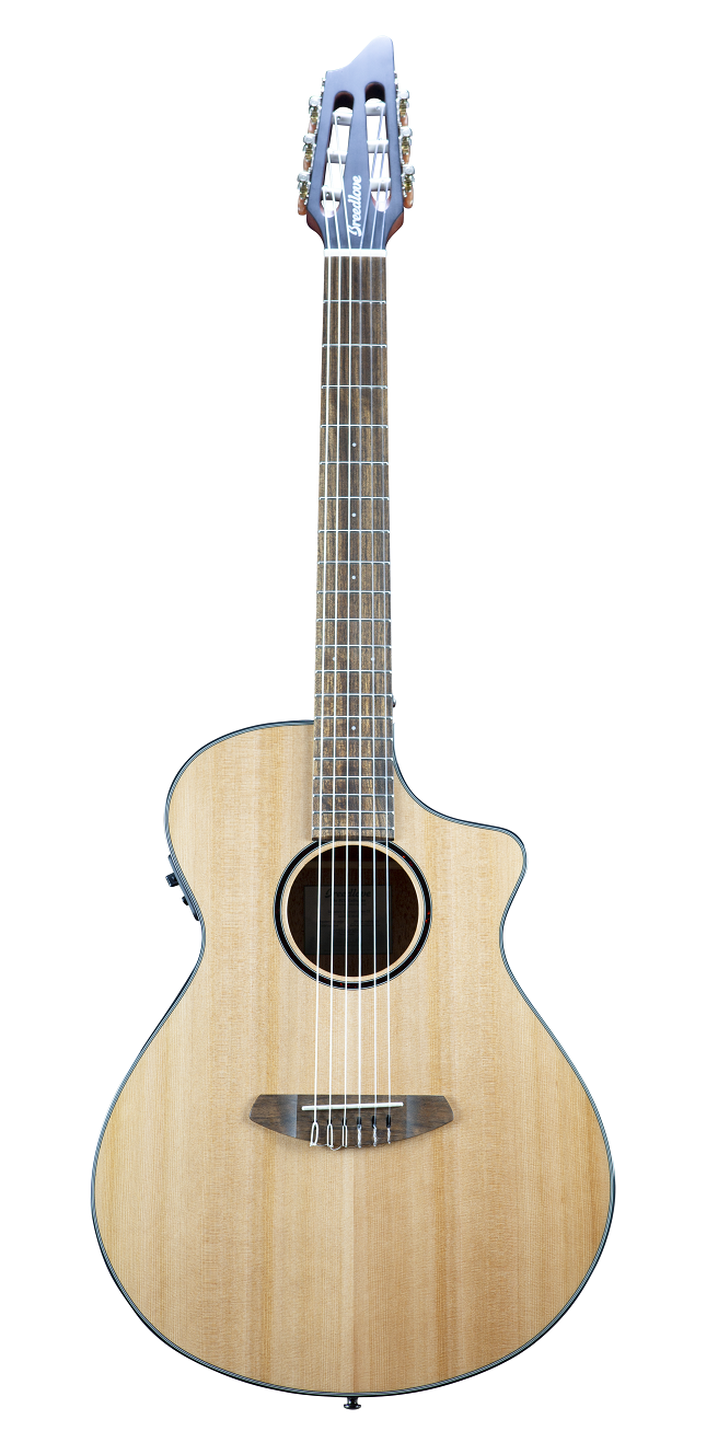 breedlove discovery concert nylon