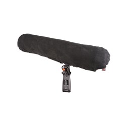 RR-RYC022506