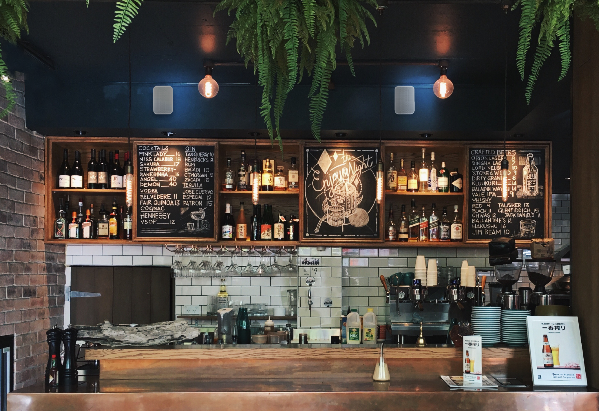 Bluesound Professional