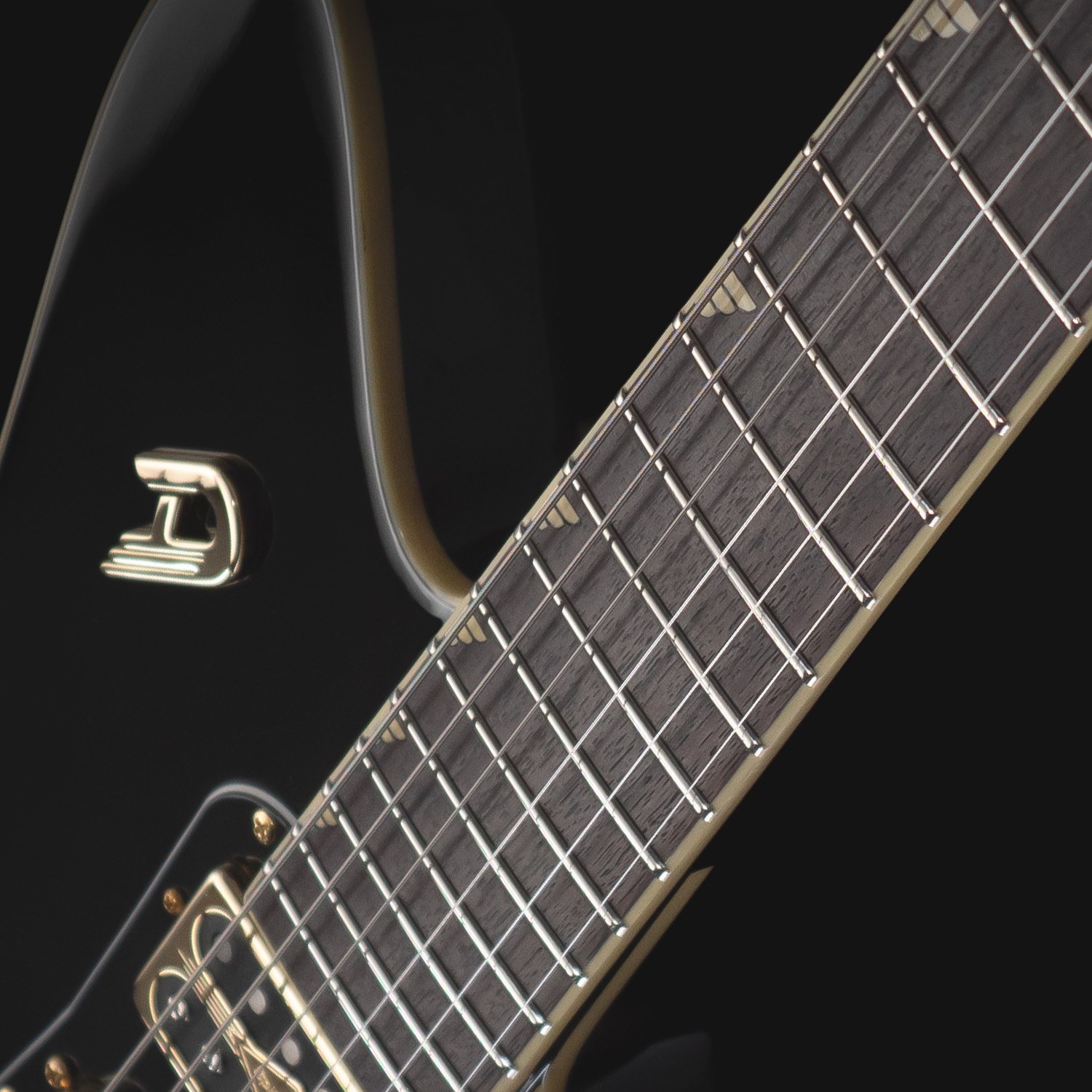 Duesenberg Paloma Custom Fretboard